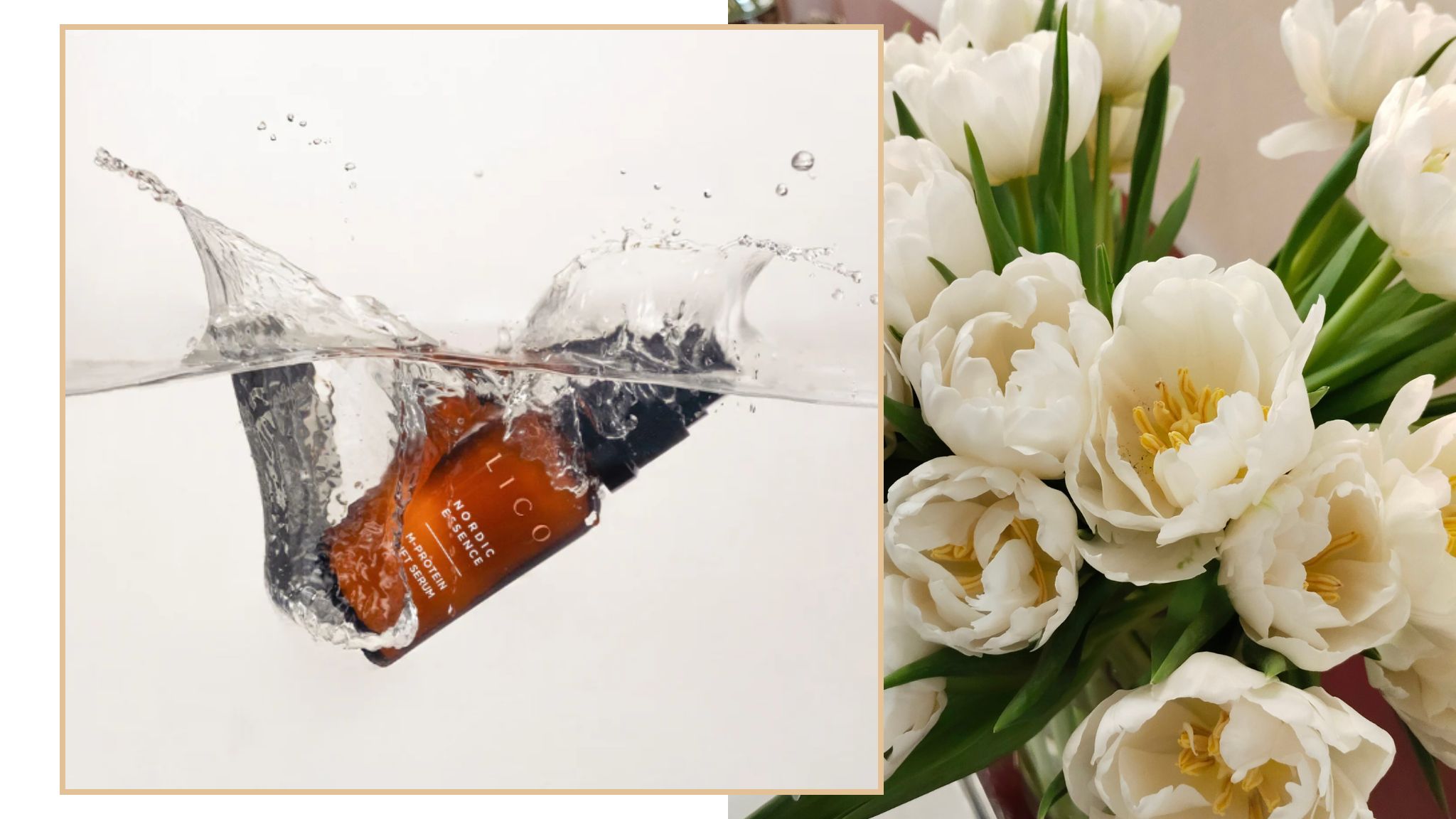 Presentación Nordic Essence LICO