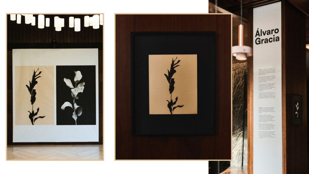 Lobby Hotel Thompson Madrid arte contemporáneo.